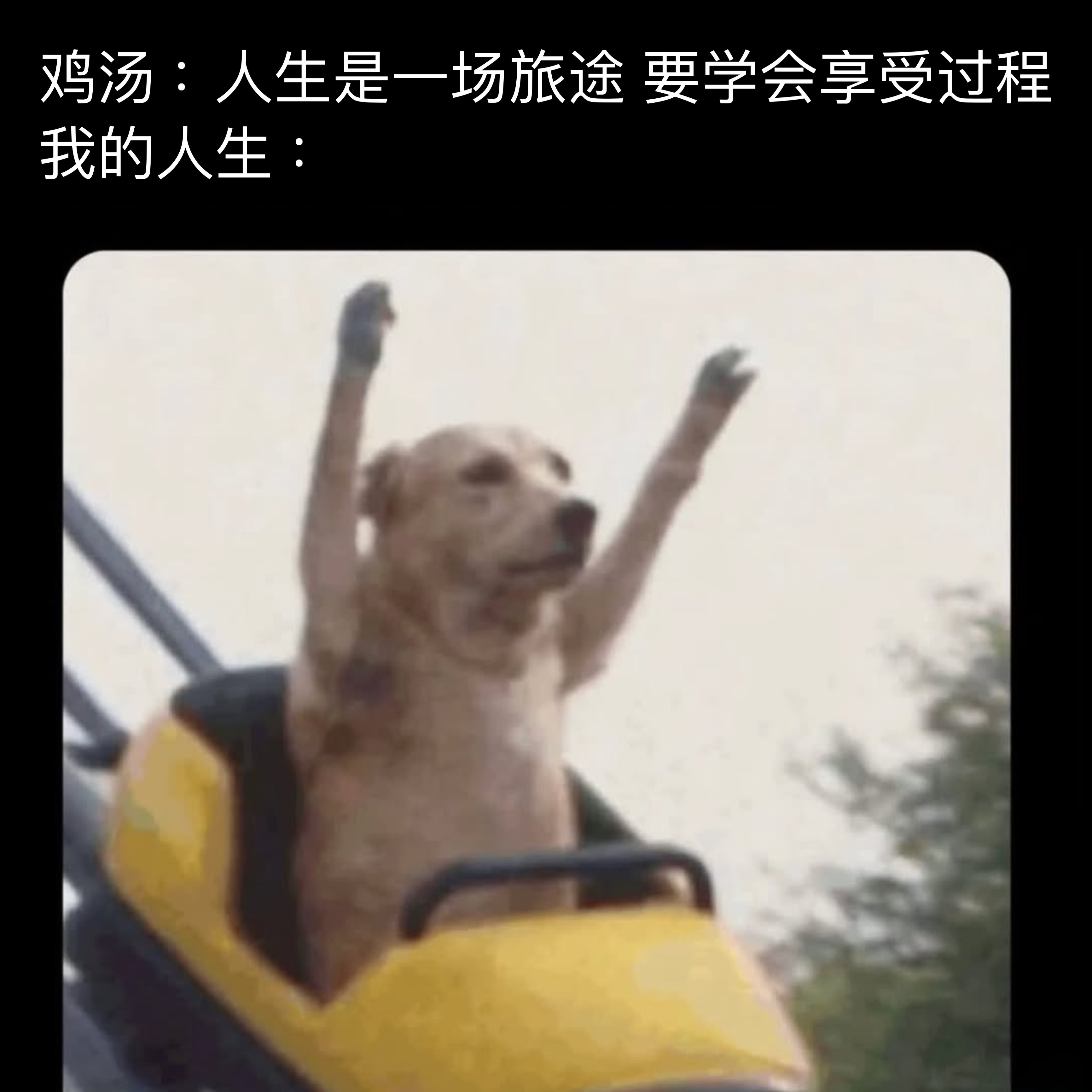 我俯冲memes