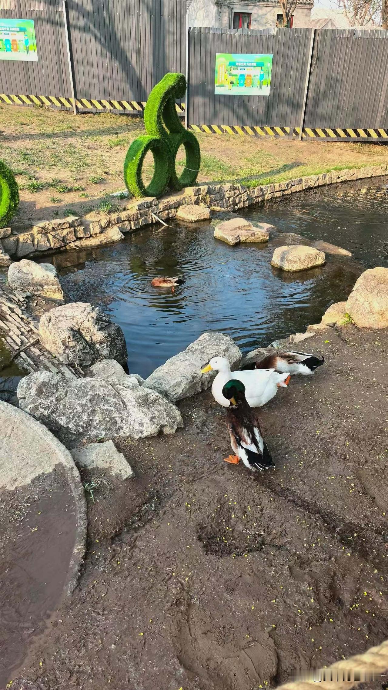 工地归来，再遇鲜鱼口，那是20多年前战斗的地方，26年的无数各类项目的日夜奋战，