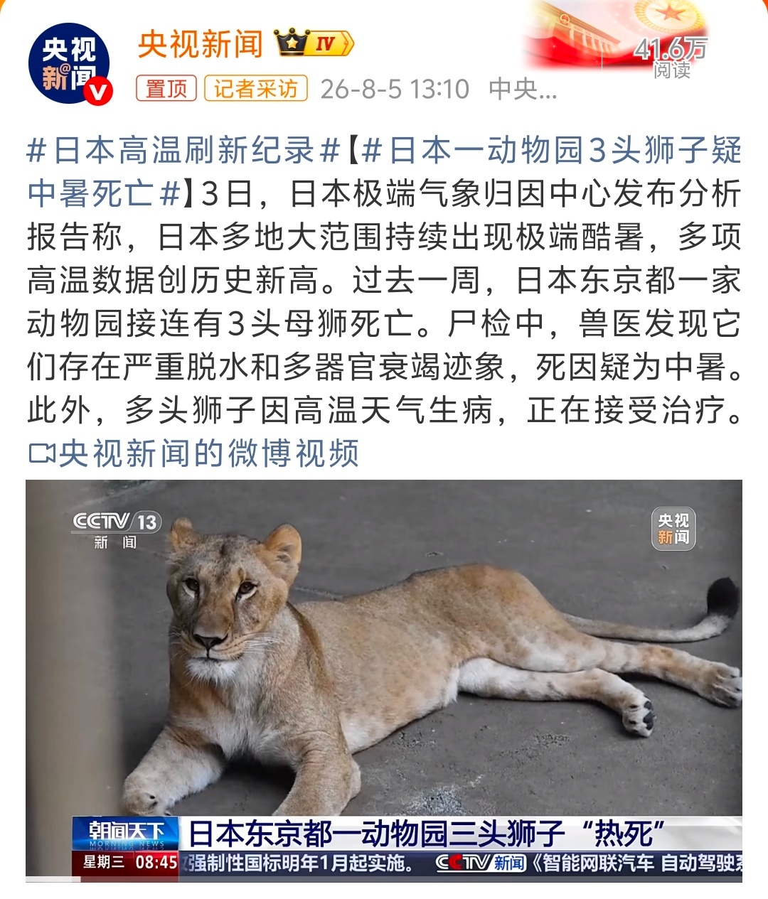 日本高温刷新纪录论应对极端高温，还得看人家印度，多大点事，最多也就热死个人呗