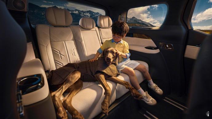 极氪009推出七座齐家版  我一直觉得，一台好的家用MPV，不是看它有多“大”，