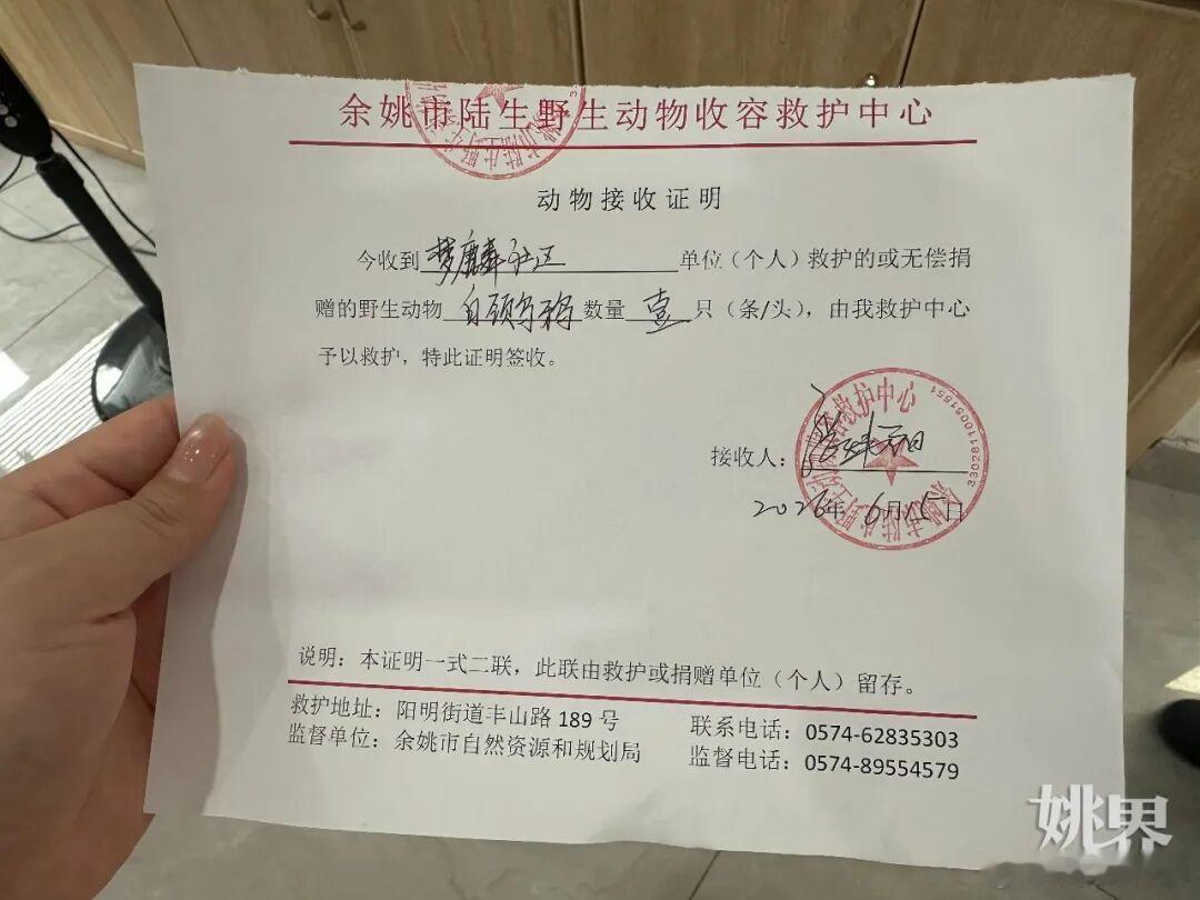 浙江余姚一小区发现国家保护动物 6月15日，余姚凤山街道梦麟社区安山苑内，一只国