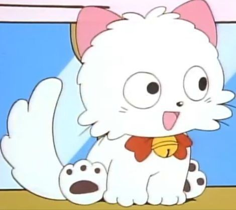 可可爱爱的猫狗宠物街!! 
