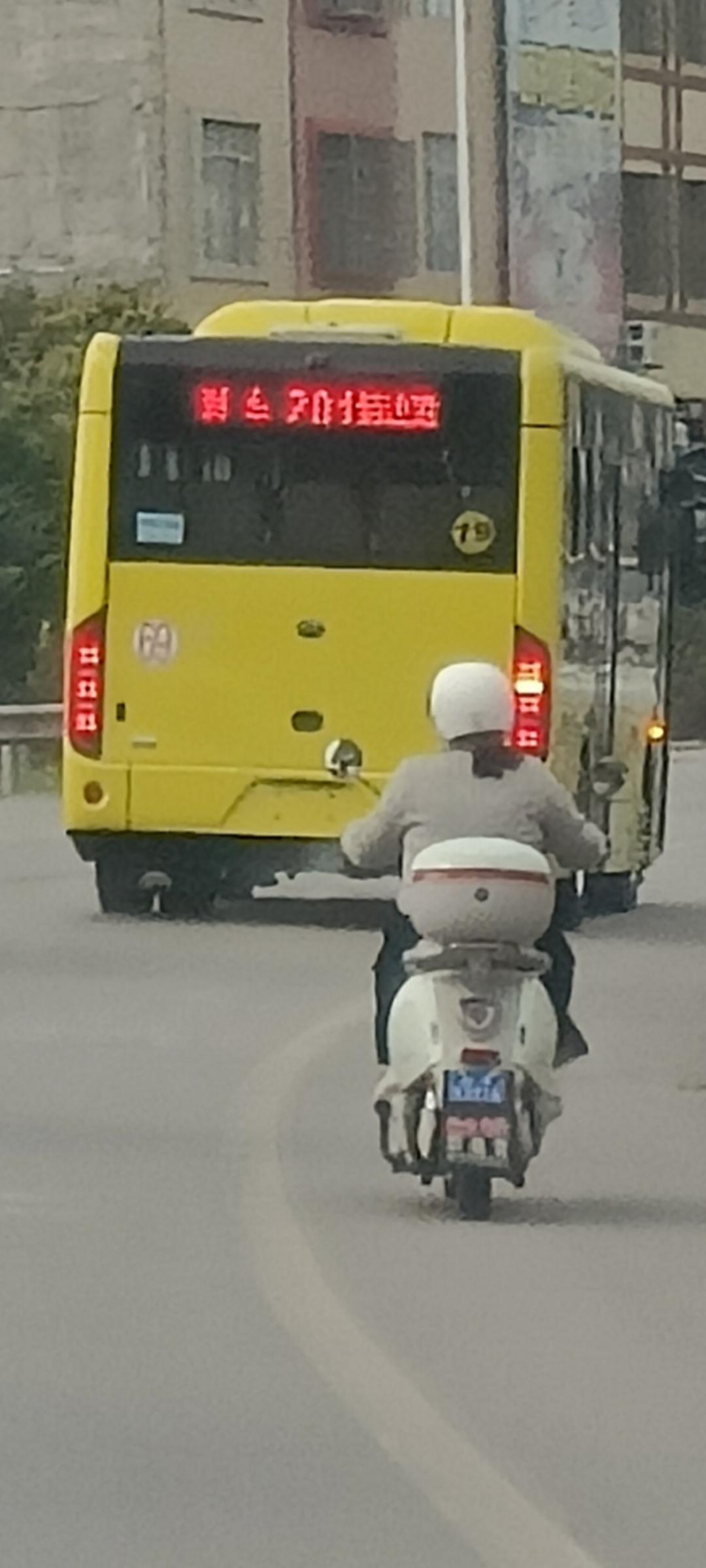 桂平城乡公交
元旦的时候，
桂平北区，东区，西区开通了好几路城乡公交，
那时刚开