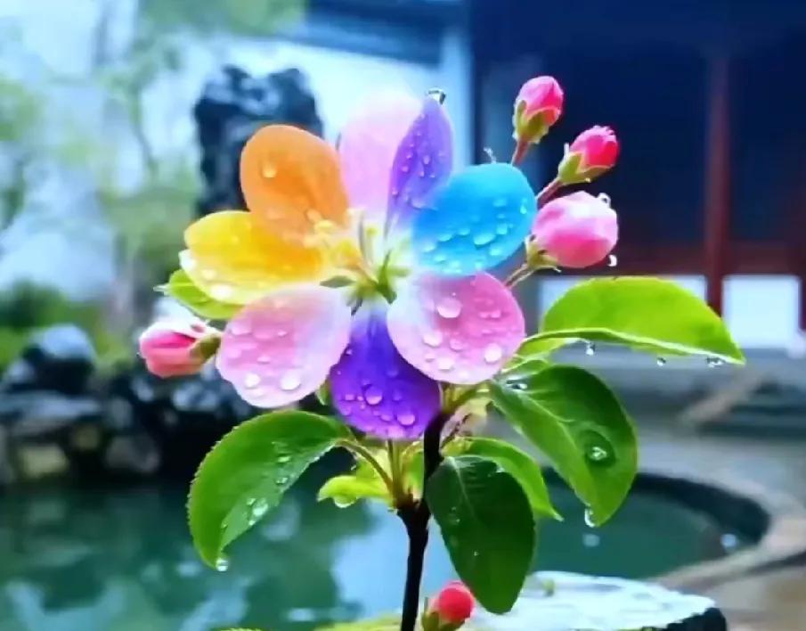 当年，我的叔叔婶子结婚多年，也没生个一儿半女，俩人心里特别着急。他俩省城医院跑了