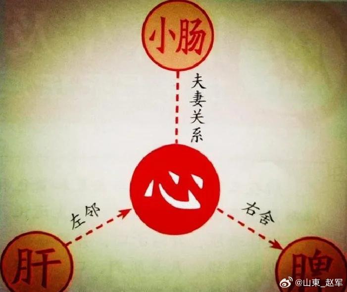 全文拆解+中医理论印证+补充纠偏，把“小肠为一身火炉、热心肠养生”讲透一、核心底