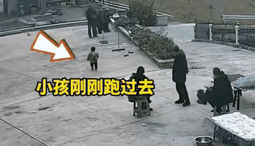 万般皆是命，半点不由人。