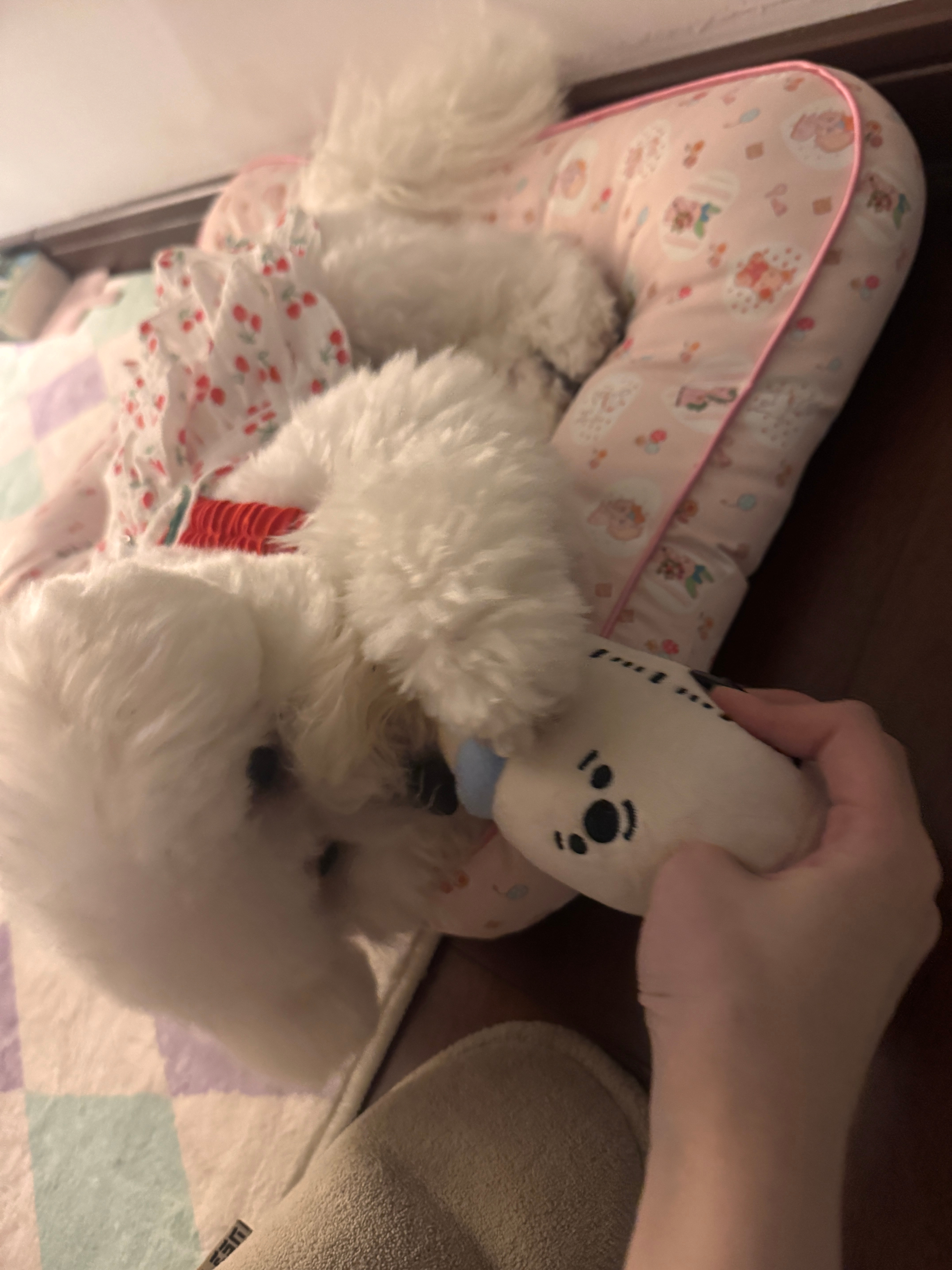 我再也不要吃夜宵了我感觉我肚子要裂开了 ​​​