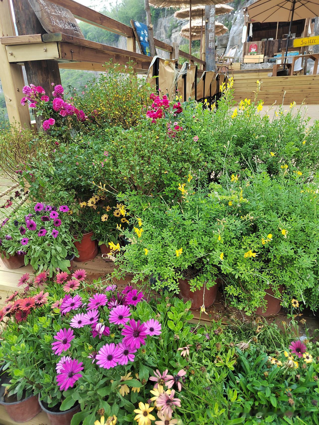 退休金一个月2600，算是偏下水准。
我大致把退休金划了个档次。
3000以下，