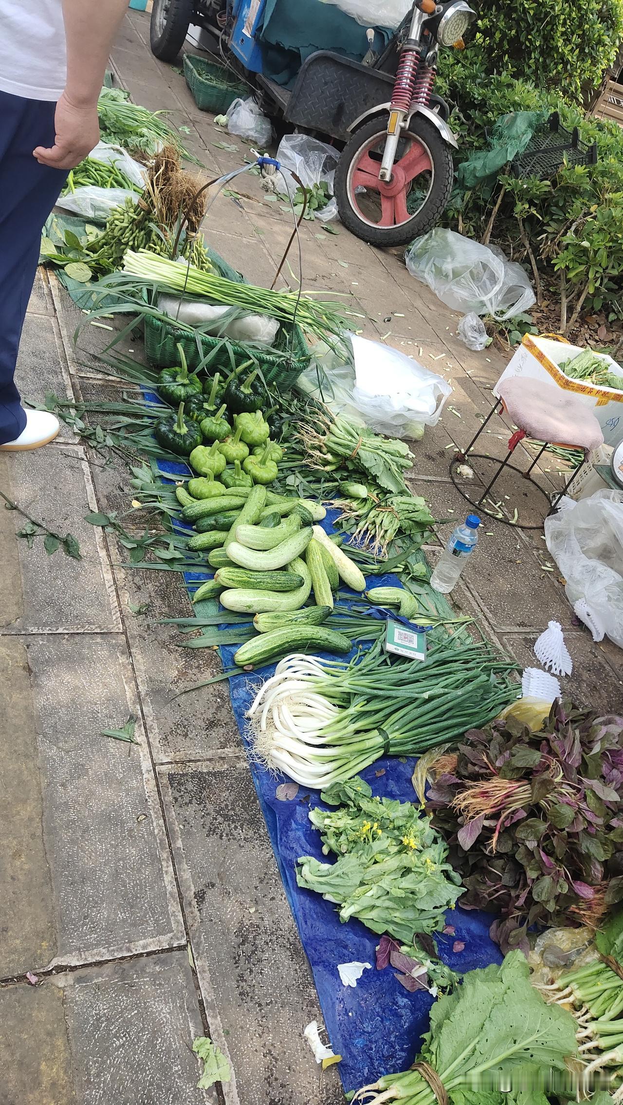 弥勒还是很接地气的！
早上起来，大街边全是卖菜卖水果的，城管就在旁边，不赶人不干