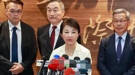 15日中午，卢秀燕结束欧洲行程返回台湾，她提到台湾当前国际处境相当艰难，希望通过