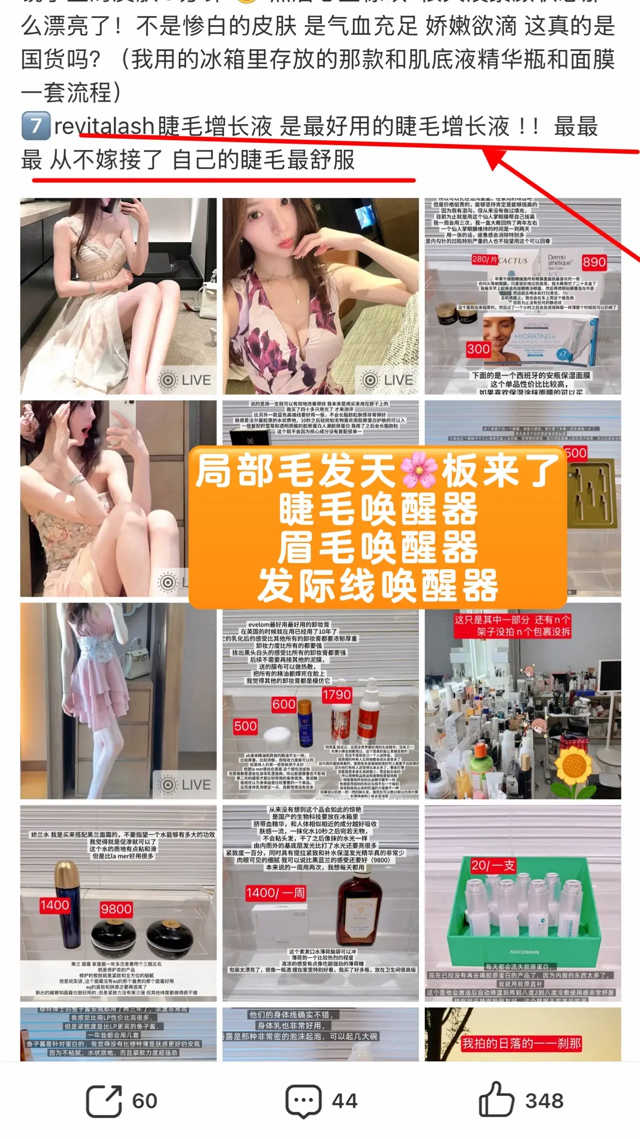 2周 见证太阳花绽放 🌻。