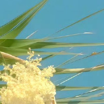 阳光信用‎阳光‎信用 ‎每日一善 善行缘于善心，有着善的心灵，就如同一股清泉，永