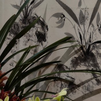 每日一善 人人存善念，并能日行一善，则个人、家庭、社会一定安乐祥和。这世上，有时