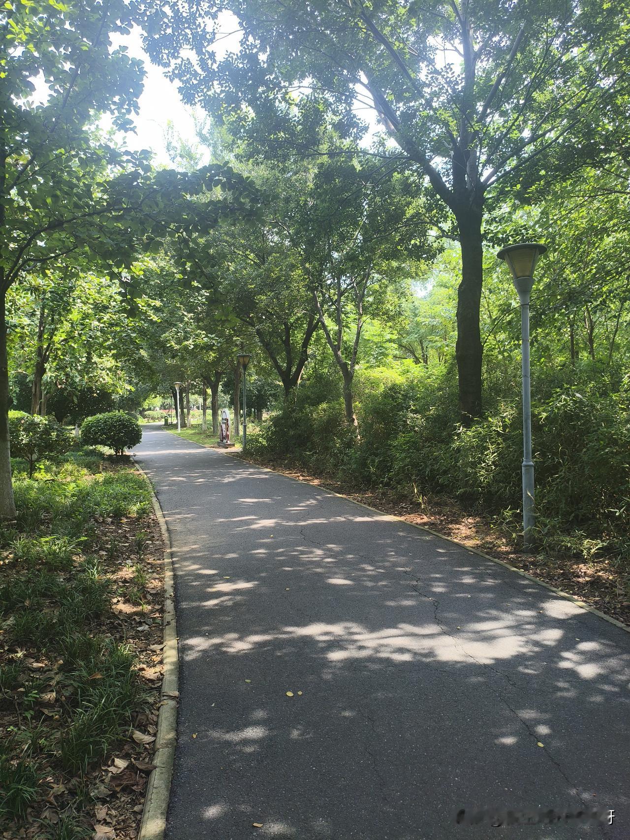 湖北应城，这几天应城这么热的天气，但是中午来长荆公园逛的人还是挺多的，大部分都是