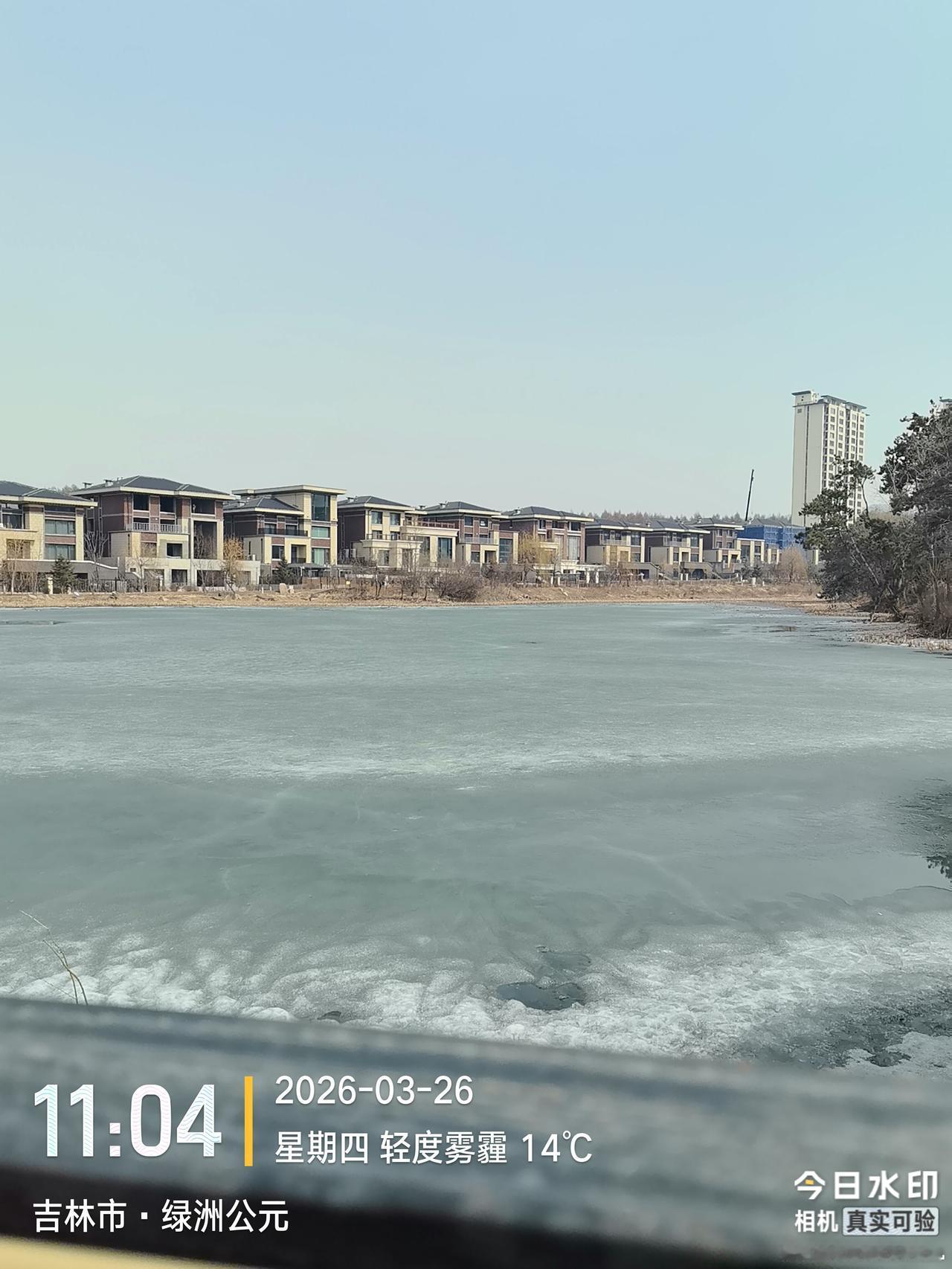 ＃真人真事＃  生活中把狼当成了狗是怎么个结局？
       我学的是地质专业