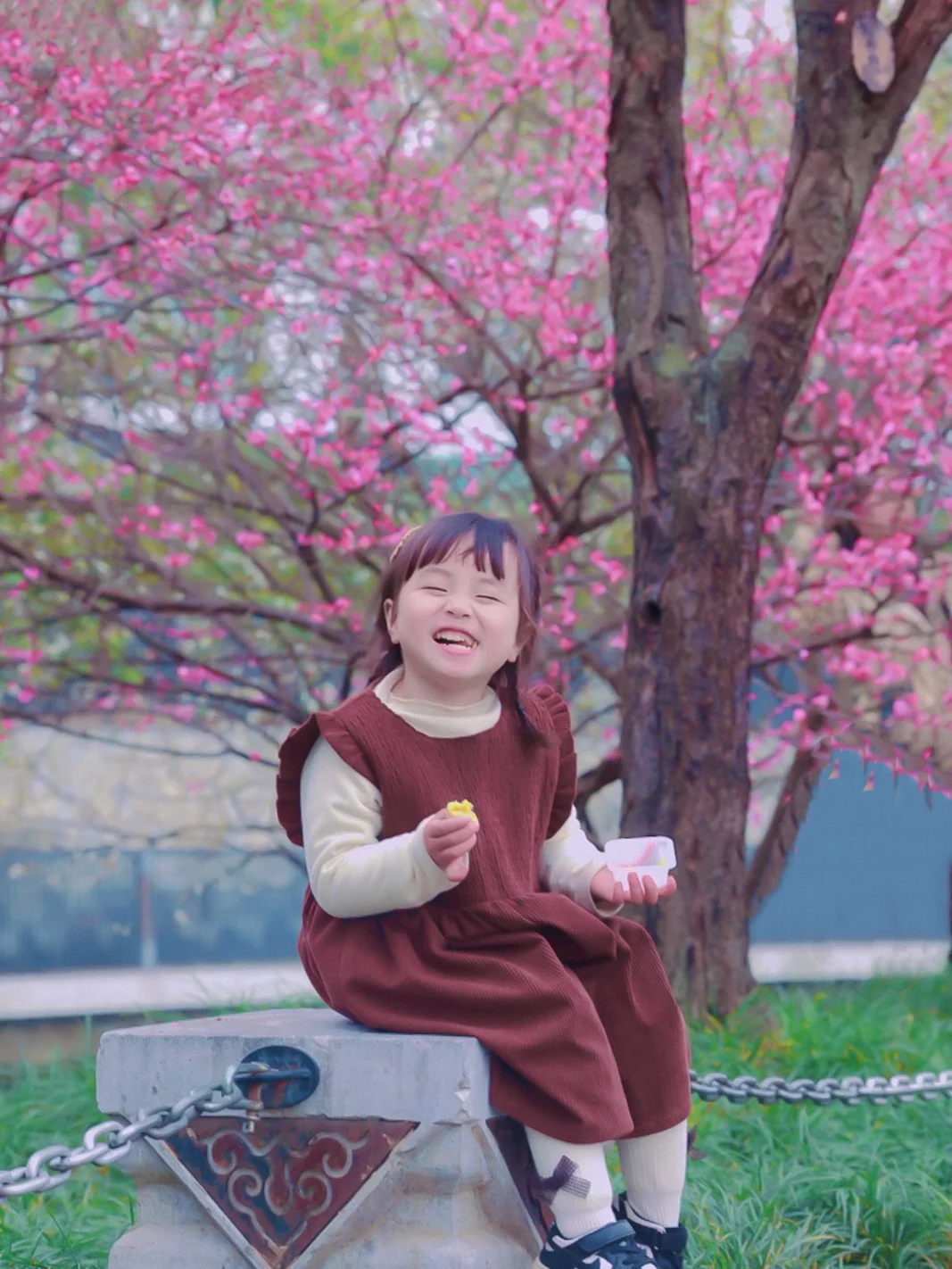 成都遛娃✅｜带娃踏入成都市区里的梅花园林~