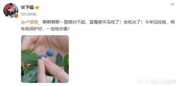 谁能想到，一串蓝莓能引出这么多糖？
 
张予曦揣着给卢昱晓的蓝莓出门，转头就被小