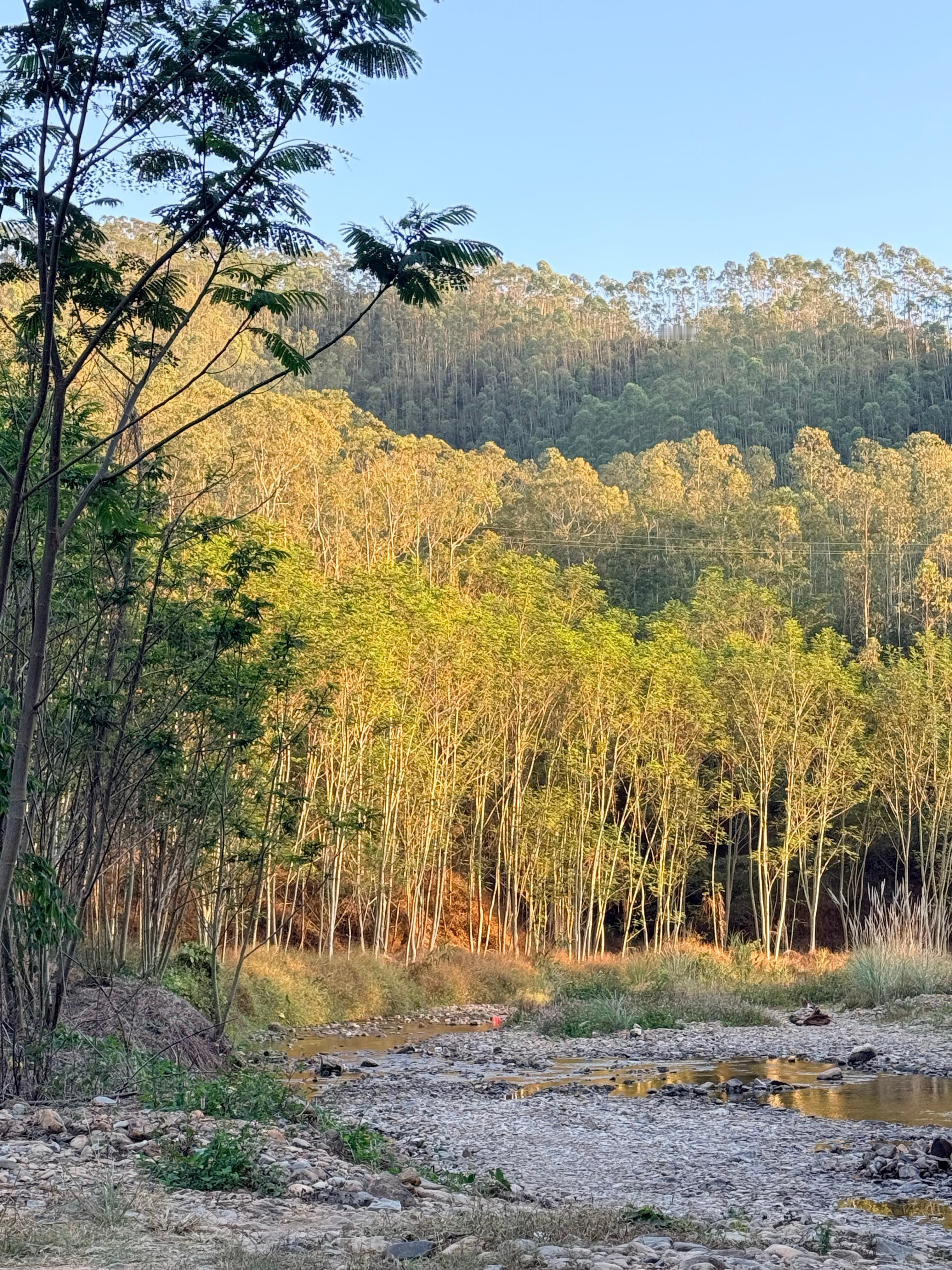 记录记录 这周一 