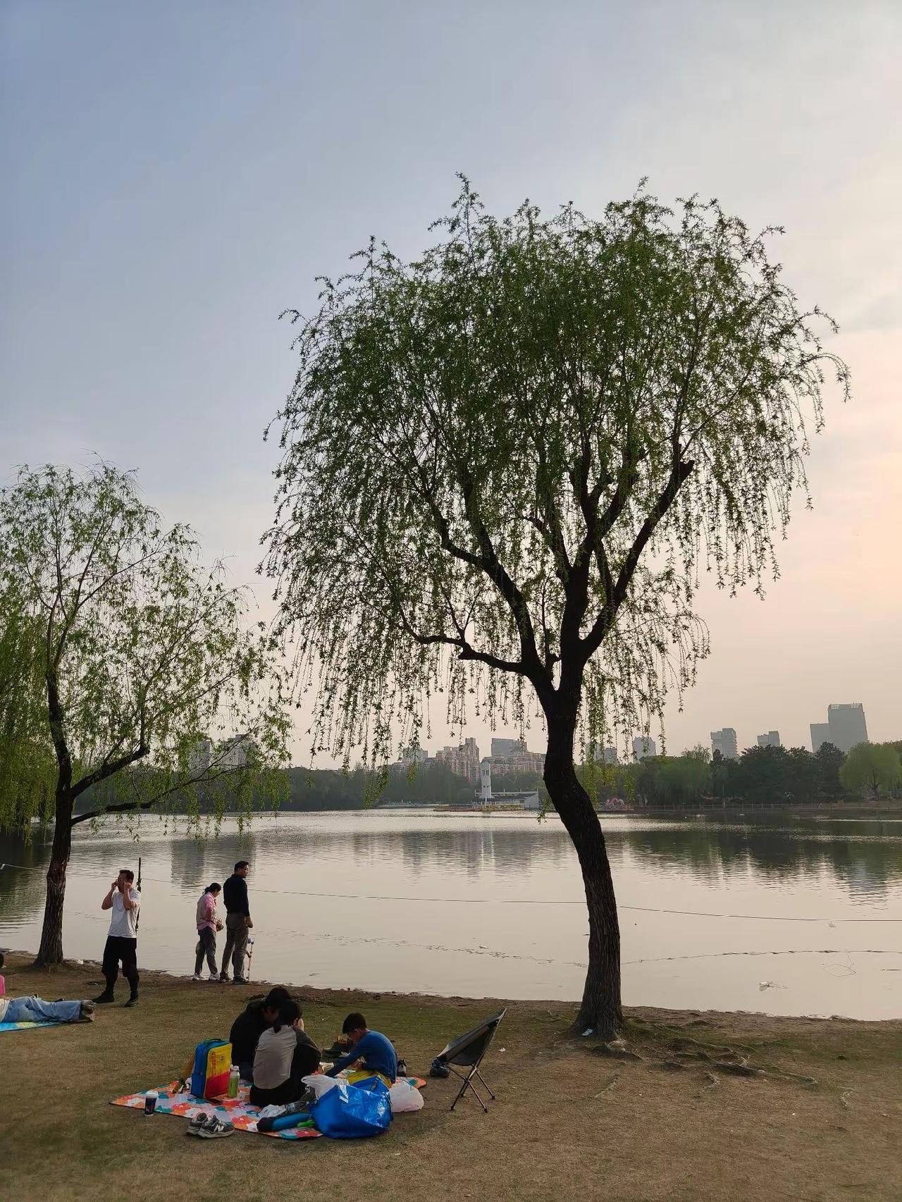 不需要门票，目前在改建中…过段时间可以去看看，湖边风景还不错！有紫藤花架和柳树?