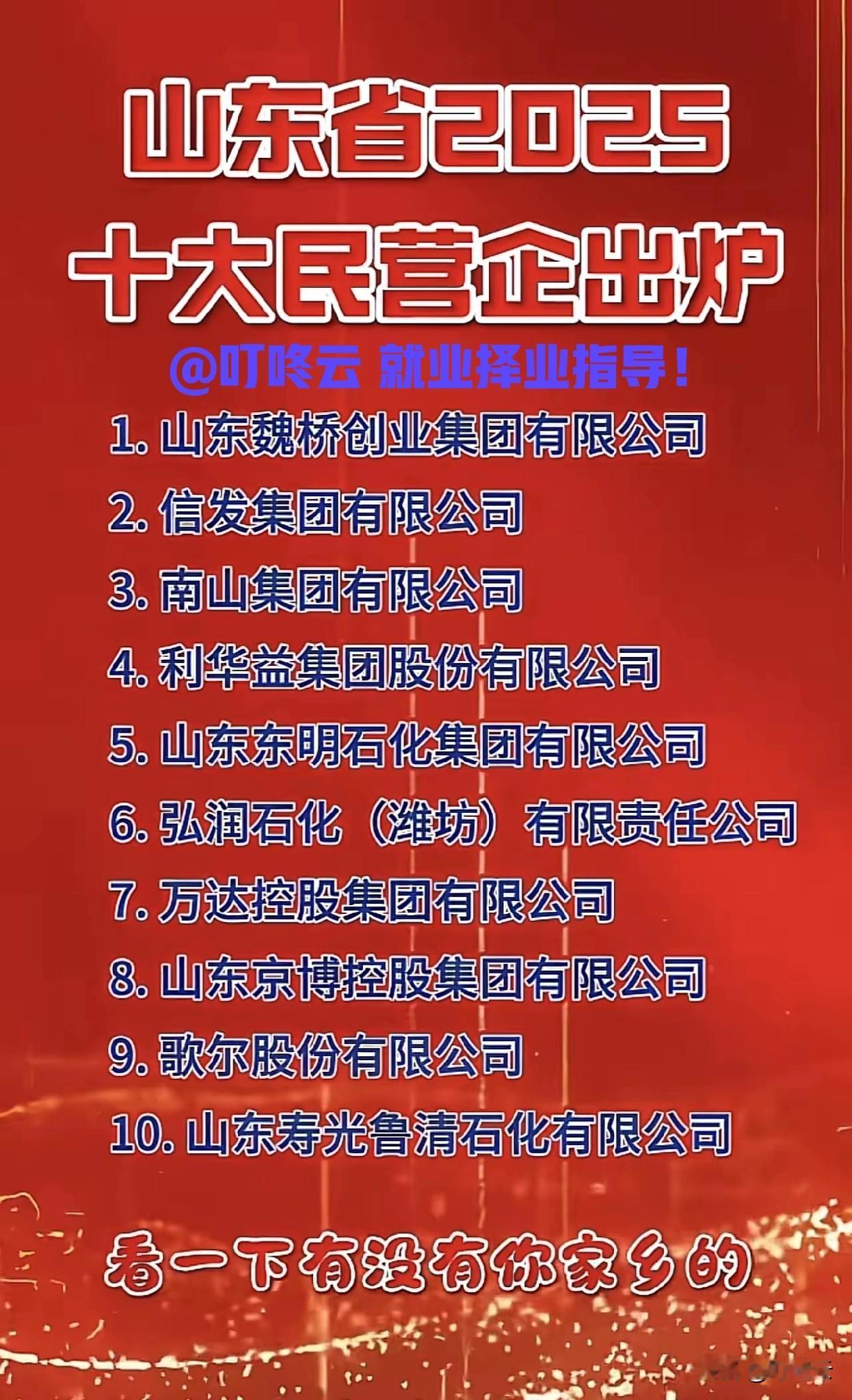 2025山东民企TOP10炸榜：魏桥杀疯了，鲁商硬核搞钱天花板！2025山东民企