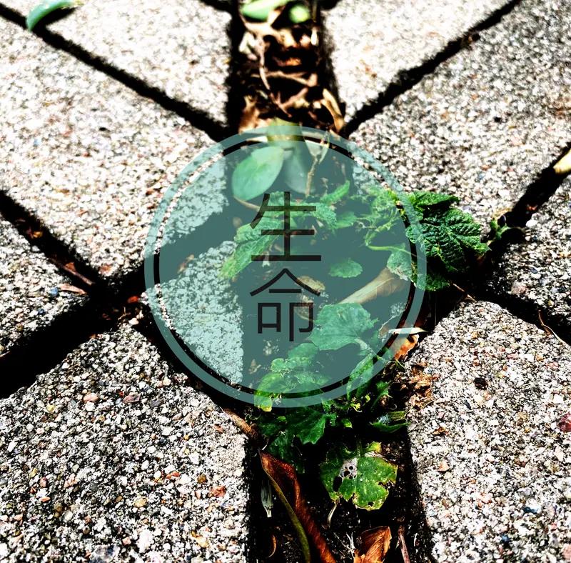 上联：天上日月轮流转，求下联生离死别规律行