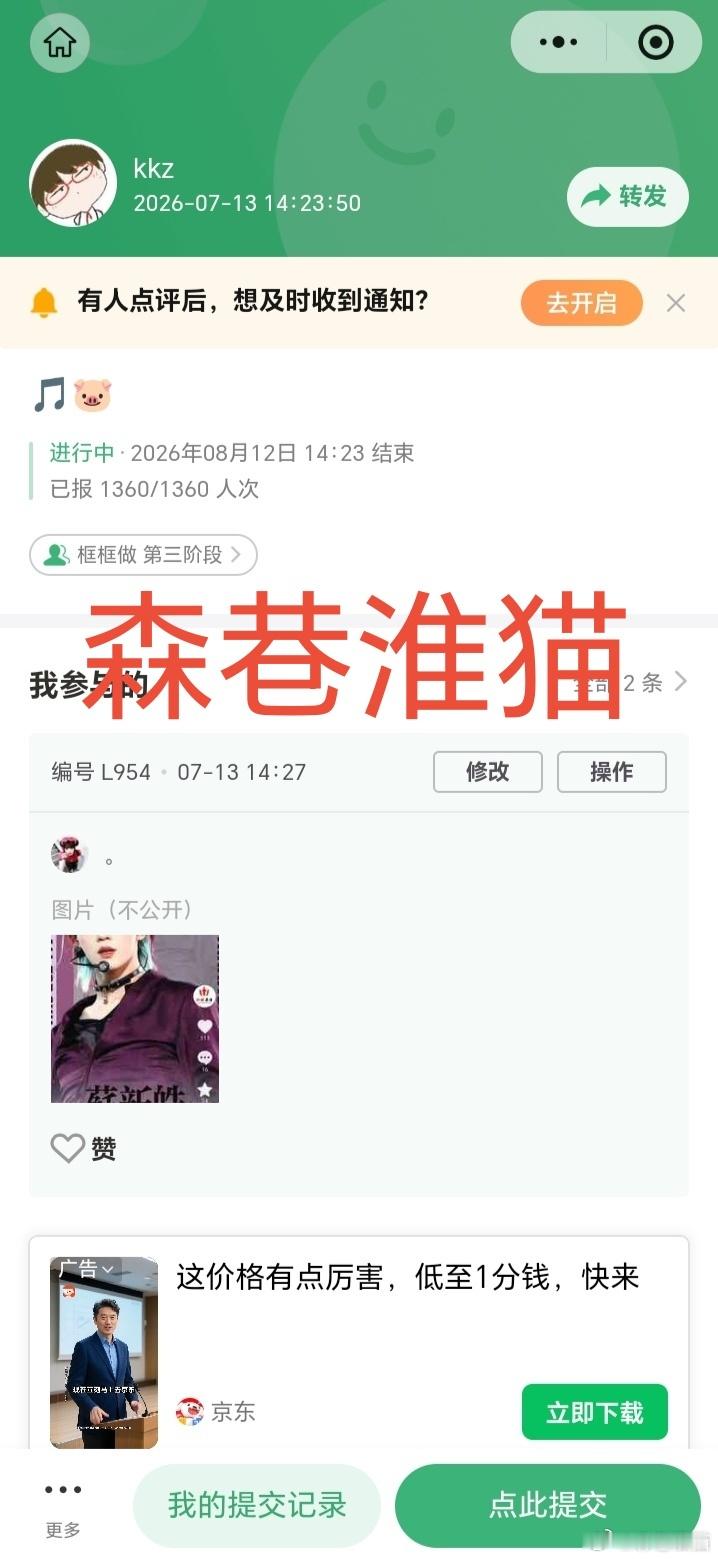 7.13森巷淮猫2分 