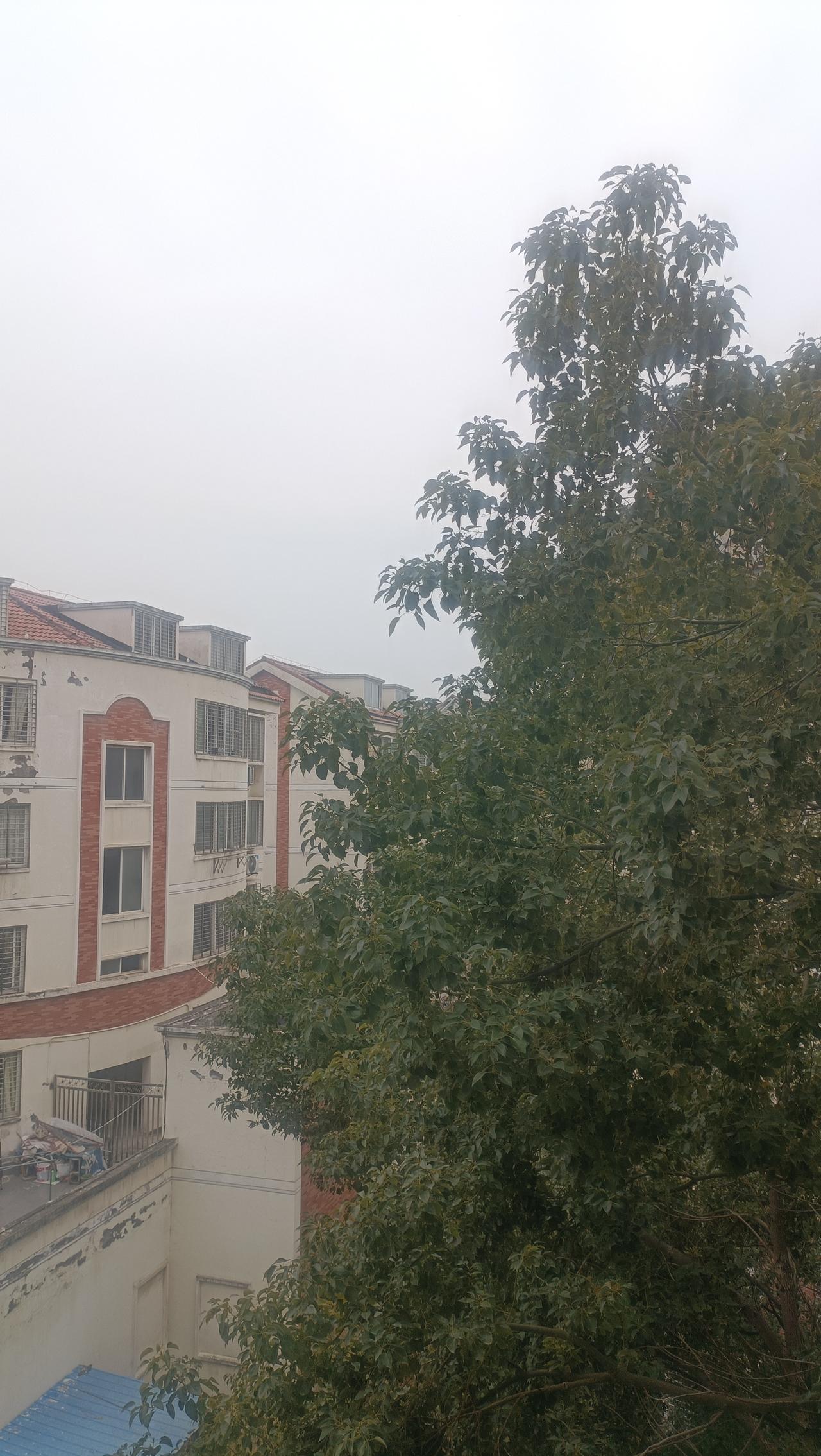 万物起始一切更生