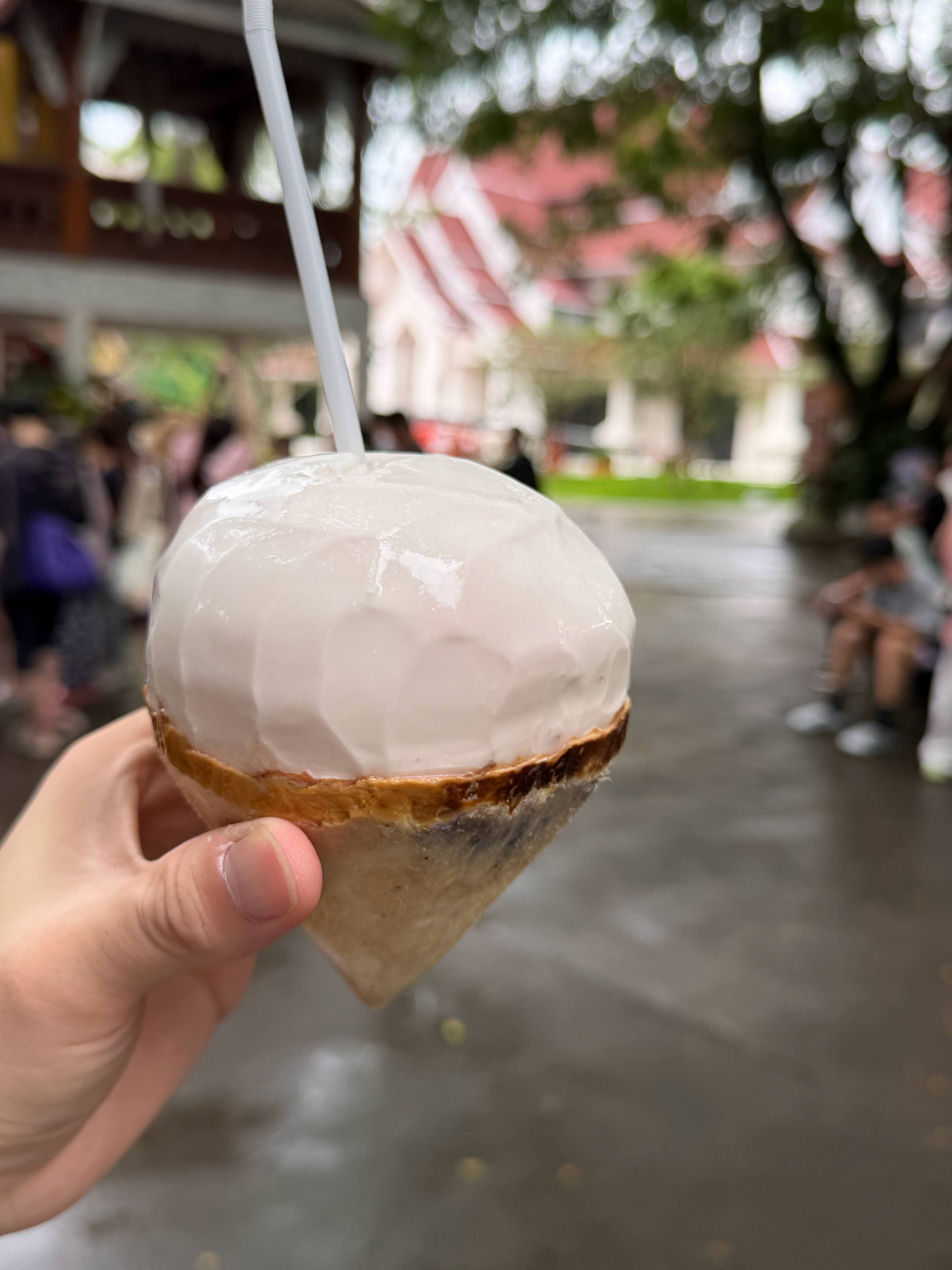 又来一个 椰子是好吃啊