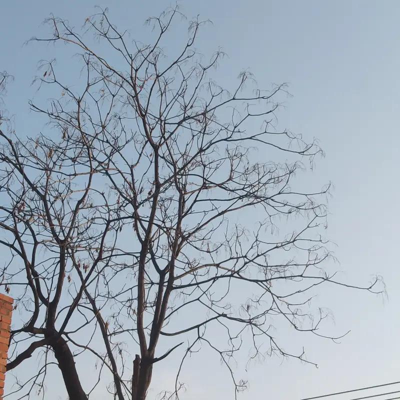 浙江杭州，男子结婚找老同学订8箱五粮液，说好喝不完原价退。可当他退6箱时，老同学