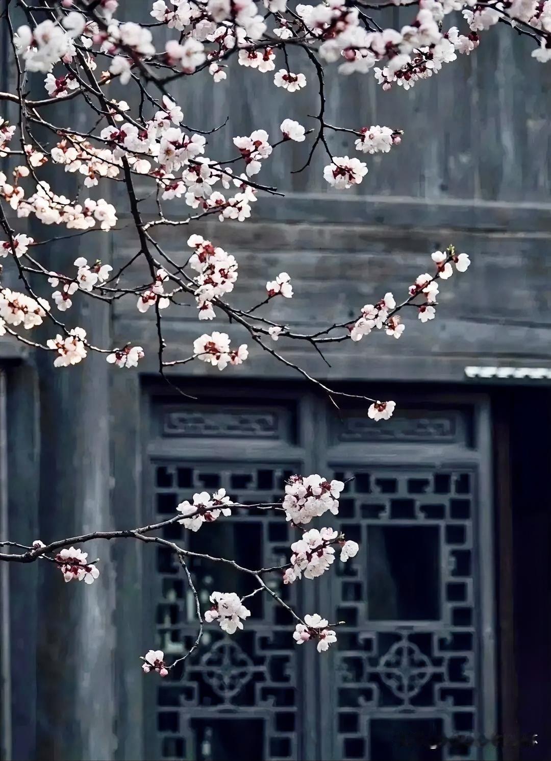 上联：乱红无语逐春去
下联：有请雅士[玫瑰][玫瑰][玫瑰]
