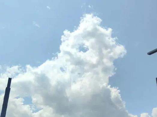 这人心也太黑了！浙江杭州，一位大姐花了 16000 块，在工地旁边租了块地方卖盒