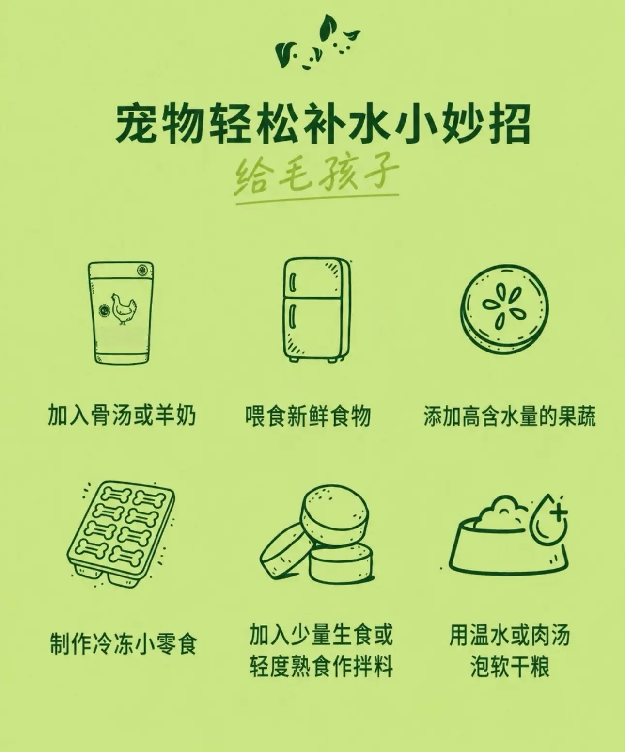 一直在想办法骗毛孩喝水？以下是我们最推荐的实用办法，适配绝大多数喂食流...