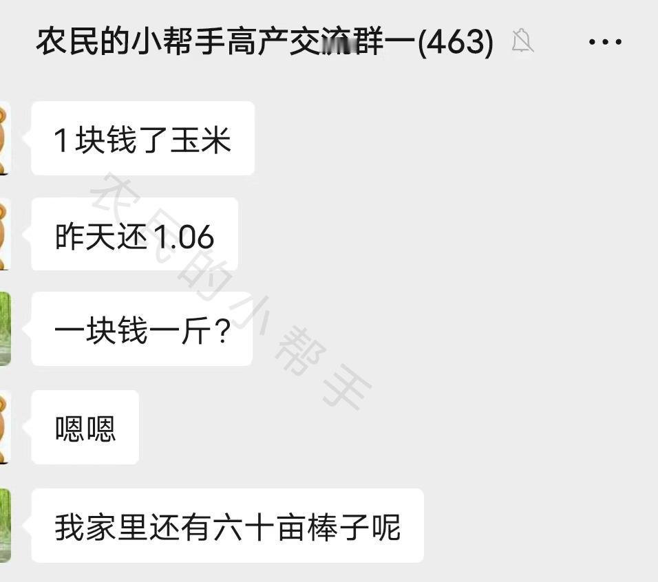 玉米都跌到1元/斤了？市场咋回事？玉米还能涨价吗？
今天在小帮手高产交流群里，看