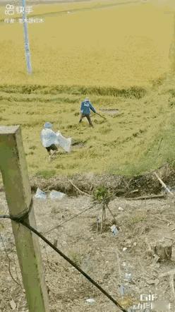 大哥：我正想着收完稻谷去买点辣条吃，碰巧它就出现了。