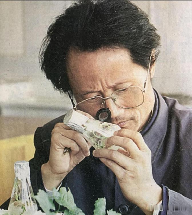 1998年，植物学教授何家庆为调研深山扶贫，饥饿难耐时，村民端来一碗猪食待客。他