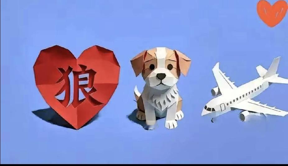 看图猜成语：狼心+狗+飞机+心，猜对的都是大神！