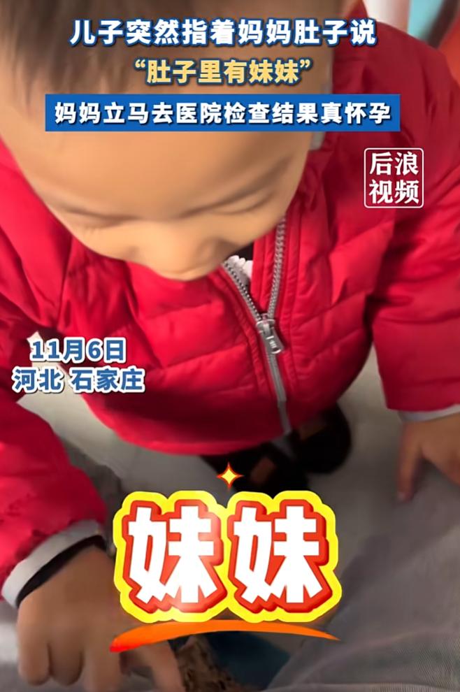 石家庄孩子预言妈妈怀孕、

科学解释不了、

肚里到底是男孩还是女孩？

河北石