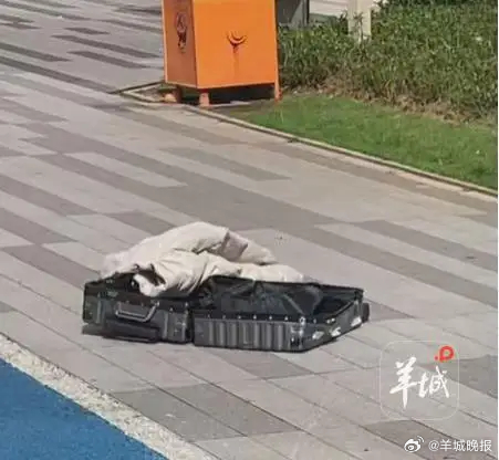 【#女子从43楼抛下行李箱被刑拘#】20寸、近10斤重的行李箱从43楼抛下，肇事