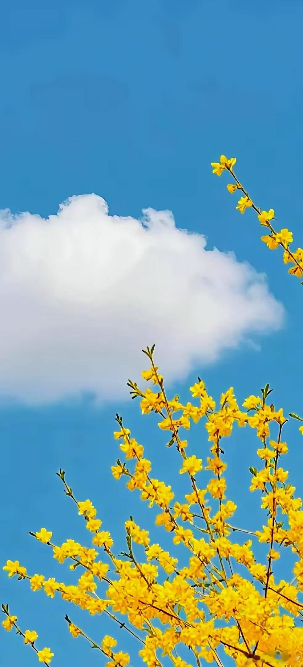 一方【耳宁散】，妙用虫药，耳鸣顽疾除虫类药物，或善钻透以通窍，开闭启音之效胜草木