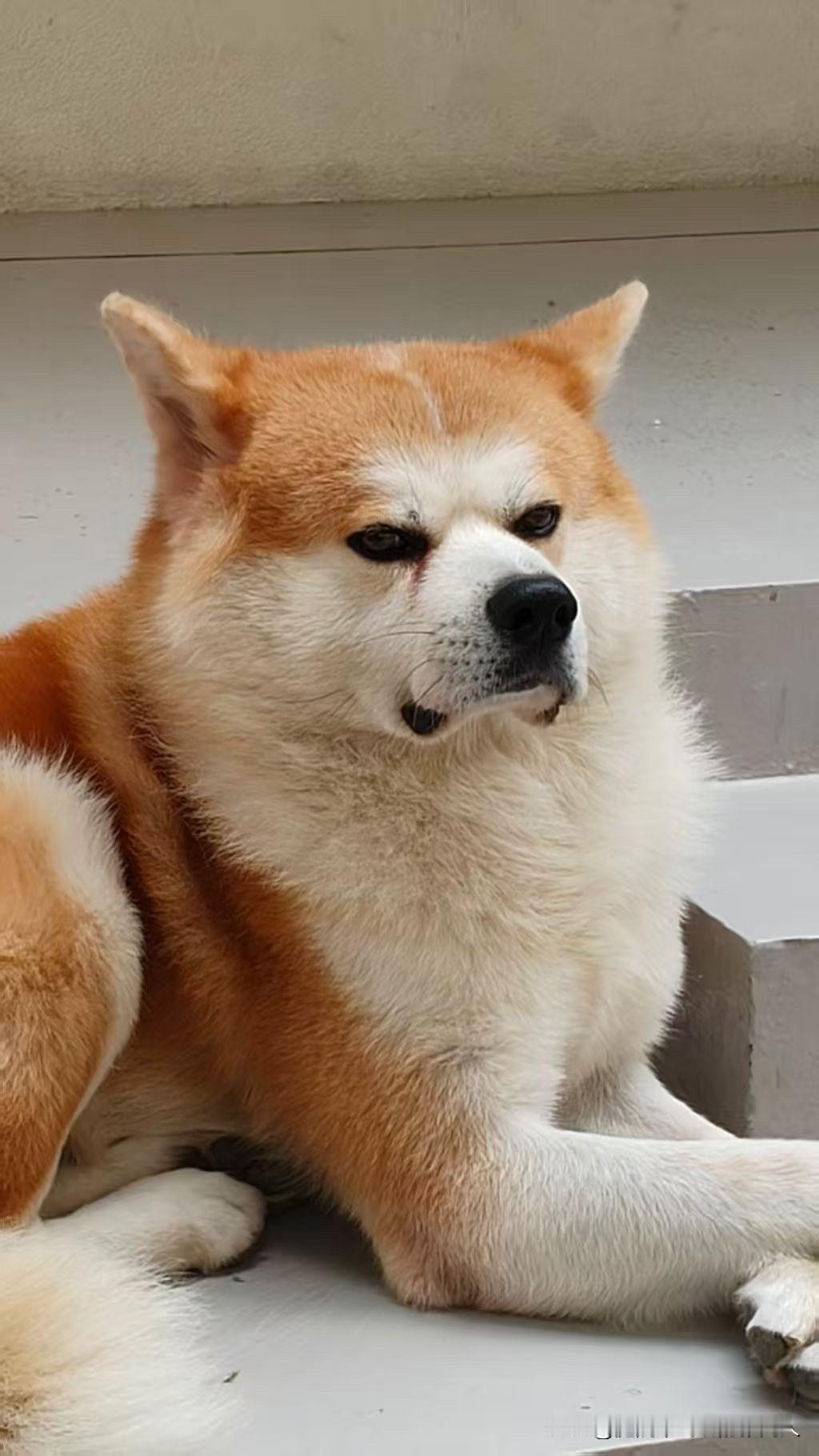 混到中年才发现，
中年人根本没有朋友，
你没有权力，帮不了别人办事，
你没有能力