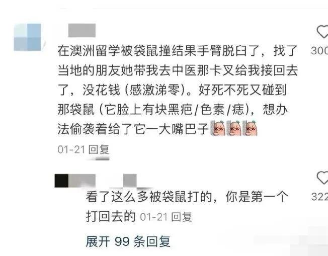 竟然还能够找袋鼠复仇成功了！