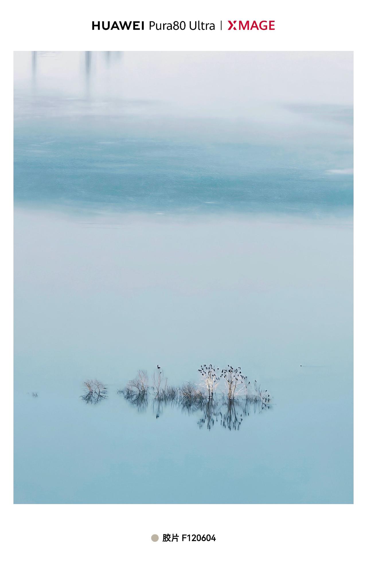 光明湖诗意，枯树上的鸟与倒影，形成古画的美影。Pura80ultra XMAGE