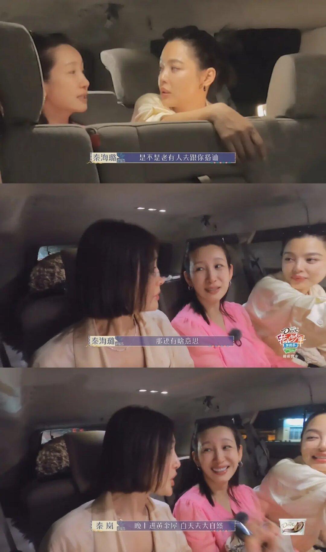 秦海璐嘲笑辛芷蕾：去露营是为了被人搭讪