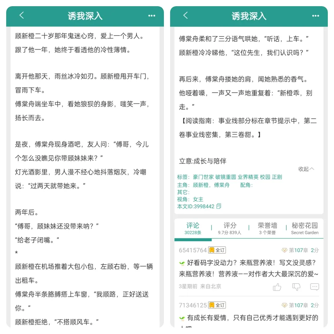 网文 已完结 言情 热门小说 好书分享