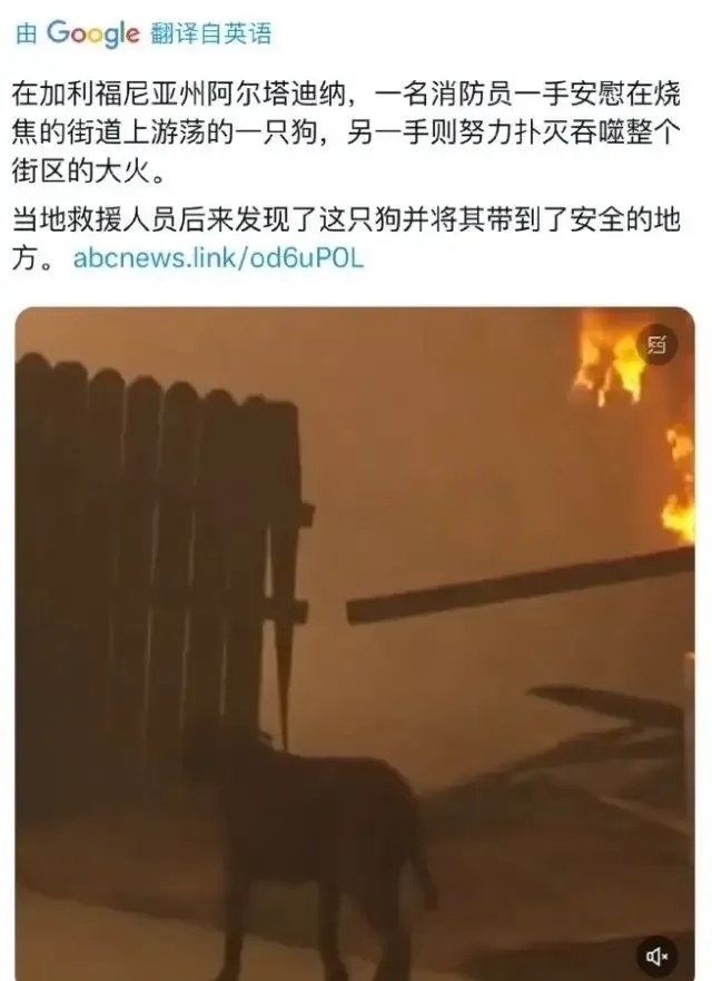 当地人称火再不灭洛杉矶都要烧没了 烧成这样了，他们还能丧事喜办、摆拍作秀，消防员