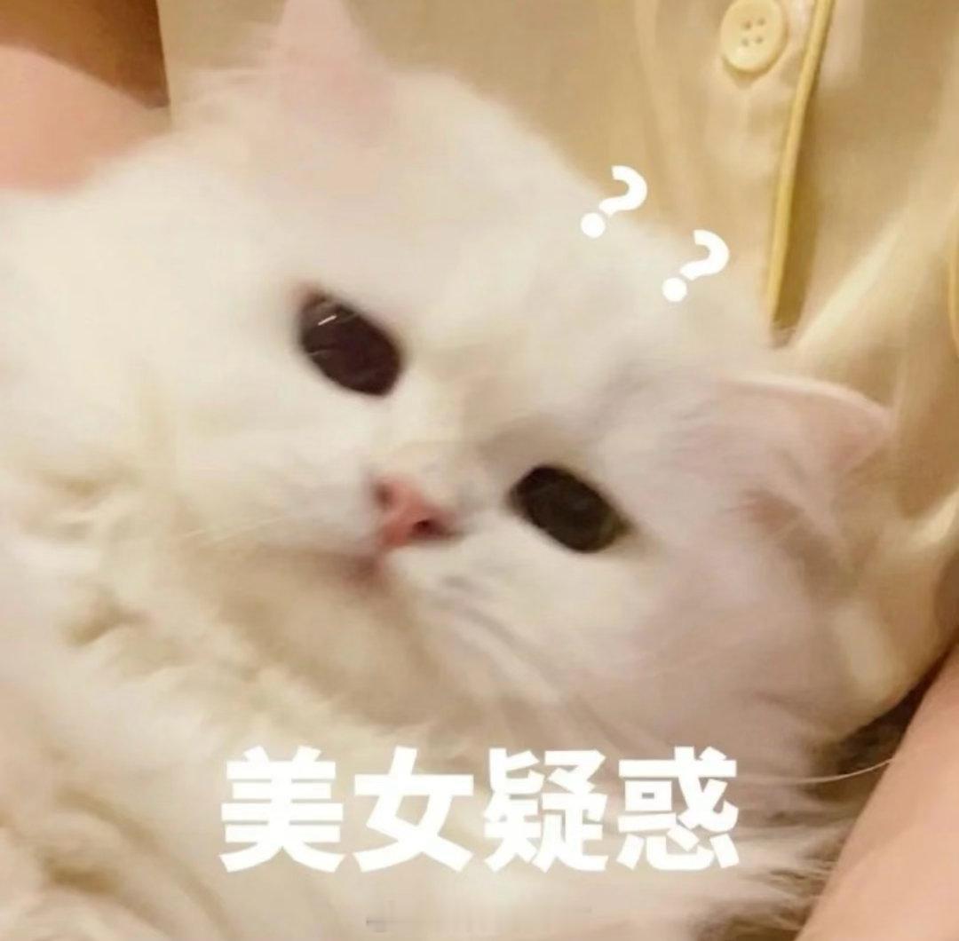 王菲无名指疑似戴了钻戒真的是不了解才问的、他俩没结婚吗？为什么去演唱会戴戒指会这
