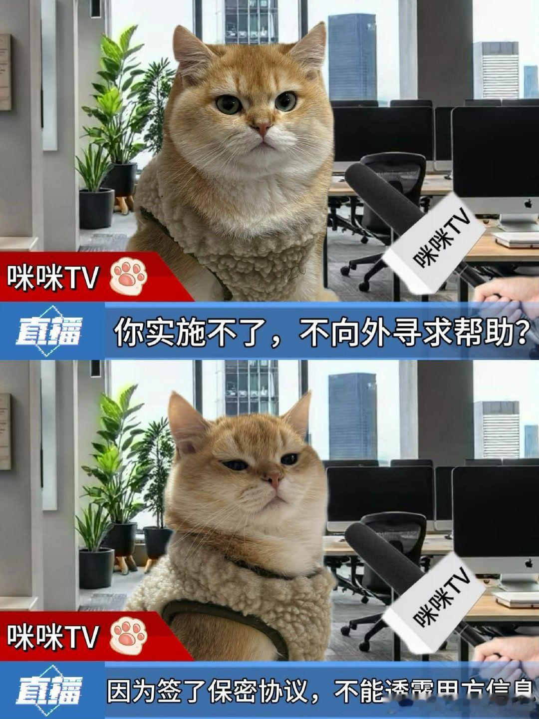 如果领导不慎落水 看完舒服了 