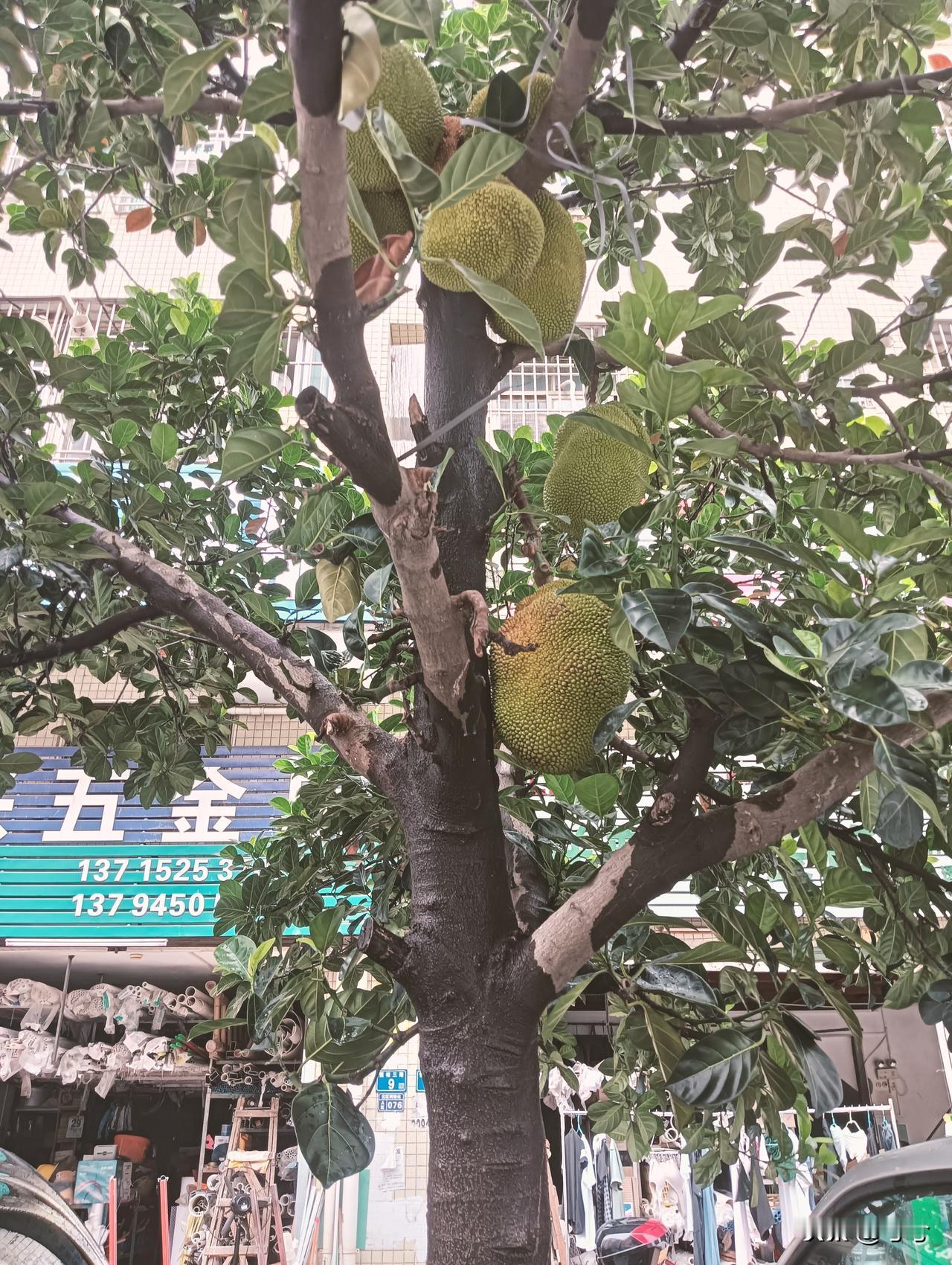 人这一辈子
有人说：
能征服人心的，
永远不是小聪明，
而是厚道；

能感动人心