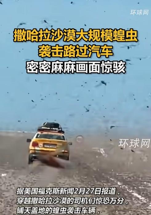 西撒哈拉的沙漠公路，一群司机差点被吓得灵魂出窍。本来是一望无际的沙土路，突然就变