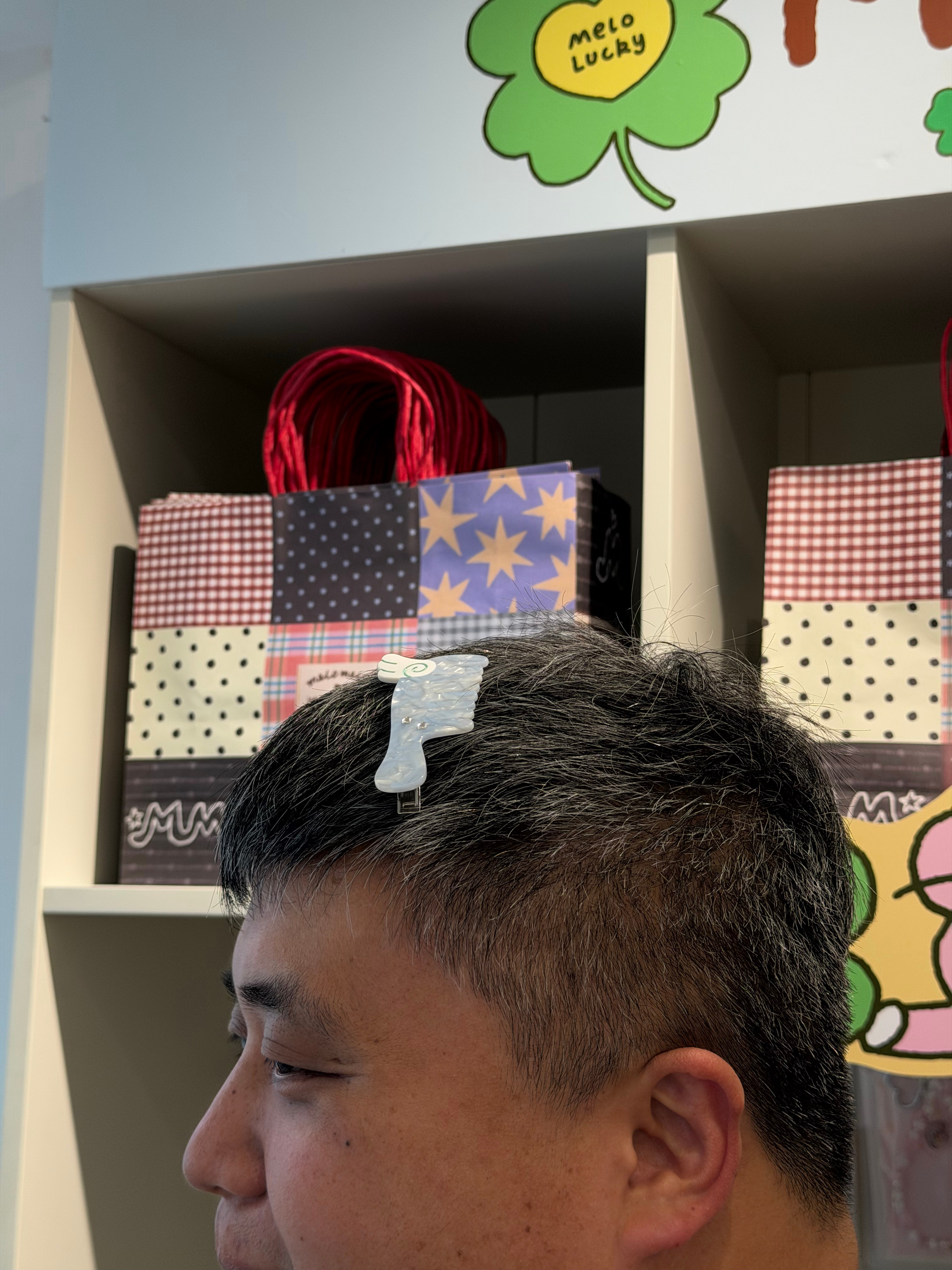 有人说这个是梳D毛的